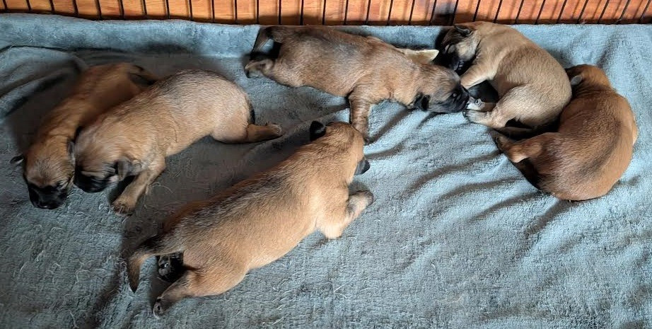 Nouvelle portée du 19/11/2025