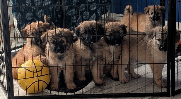 Nouvelle portée du 19/11/2025